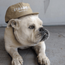 Straddie Brewing Co Surf Cap