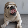 Straddie Brewing Co Surf Cap